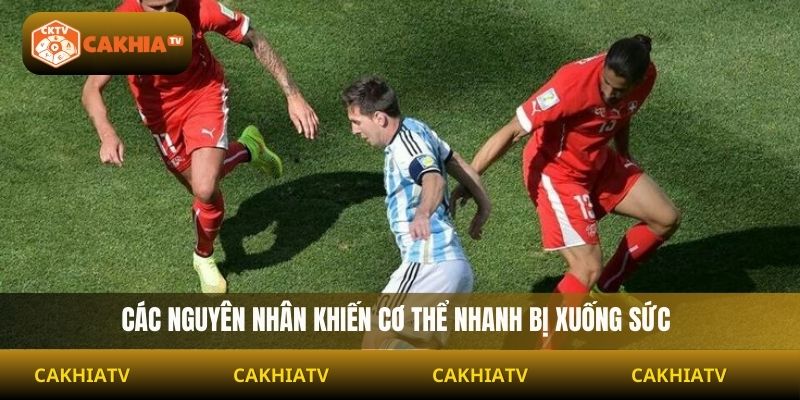 Các nguyên nhân khiến cơ thể nhanh bị xuống sức